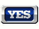 YES Network logo not available